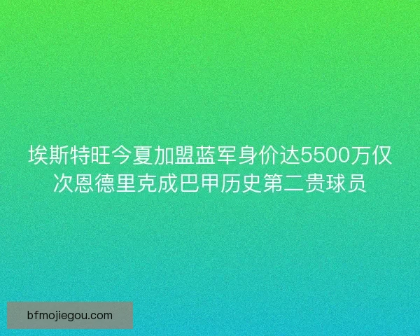 埃斯特旺今夏加盟蓝军身价达5500万仅次恩德里克成巴甲历史第二贵球员
